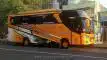 buspariwisata.id - foto medium bus pariwisata solaris jaya b