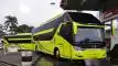 buspriwisata.id - logo bus pariwisata tami jaya d