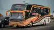 buspriwisata.id - logo bus pariwisata wijaya putra d