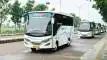 buspriwisata.id - logo bus pariwisata trijaya trans f