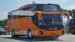 buspariwisata.id - foto bus pariwisata sidiq trans b