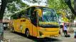 buspariwisata.id - foto bus pariwisata kym trans a
