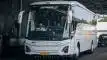 buspariwisata.id - foto bus pariwisata ness trans d