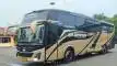 buspriwisata.id - foto bus pariwisata remaja elegant g