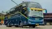 buspriwisata.id - foto bus pariwisata trans jaya c