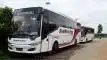 buspariwisata.id - foto bus pariwisata primajasa red white star g