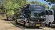 buspariwisata.id - foto bus pariwisata citra dewi i