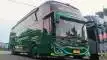 buspariwisata.id - foto bus pariwisata milano trans e