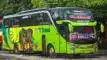 buspriwisata.id - foto bus pariwisata ntts trans h