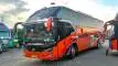 buspariwisata.id - foto bus pariwisata cipta karunia e