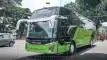 buspariwisata.id - foto bus pariwisata rimba raya e