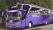 buspriwisata.id - foto bus pariwisata baraya tourist f