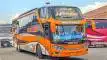 buspariwisata.id - foto bus pariwisata sanca trans a