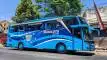 buspriwisata.id - foto bus pariwisata mahkota d