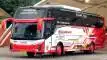 buspariwisata.id - foto bus pariwisata duta gemilang f
