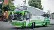 buspriwisata.id - logo bus pariwisata mutiara abadi d