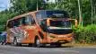 buspriwisata.id - foto bus pariwisata remaja elegant e
