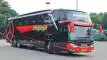 buspriwisata.id - foto bus pariwisata putra pelita jaya g