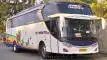 buspariwisata.id - foto bus pariwisata surya putra f