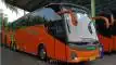 buspariwisata.id - foto bus pariwisata tividi e
