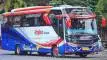 buspriwisata.id - foto bus pariwisata malika wisata h