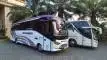 buspariwisata.id - medium bus pariwisata vacation bus b