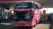 buspariwisata.id - foto bus pariwisata hasyim asyari f