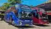 buspriwisata.id - foto bus pariwisata janguleee d