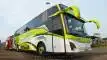 buspariwisata.id - foto bus pariwisata kalingga jaya d