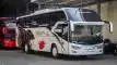 buspariwisata.id - foto bus pariwisata midas nusantara i