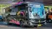 buspariwisata.id - foto bus pariwisata citra dewi e