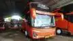 buspariwisata.id - foto bus pariwisata sedya mulya d