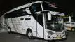 buspariwisata.id - foto bus pariwisata best premium b