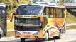buspriwisata.id - foto bus pariwisata putra mas trans g