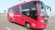 buspriwisata.id - logo bus pariwisata easy trans i