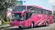 buspariwisata.id - foto bus pariwisata endah trans c