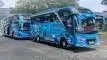 buspariwisata.id - foto bus pariwisata berkah bersaudara e