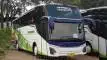 buspariwisata.id - foto bus pariwisata surya putra c