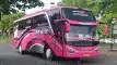 buspriwisata.id - logo bus pariwisata tunas merapi d