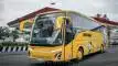 buspariwisata.id - foto bus pariwisata kym trans d