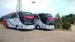 buspariwisata.id - foto bus pariwisata dago holiday h