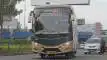 buspriwisata.id - foto bus pariwisata sekawan trans d
