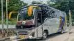 buspariwisata.id - foto medium bus pariwisata jackal holidays a