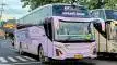 buspriwisata.id - foto bus pariwisata muji jaya a