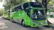 buspriwisata.id - foto bus pariwisata alfa trans a