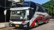 buspriwisata.id - foto bus pariwisata bali radiance h