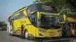 buspariwisata.id - foto bus pariwisata hermanto f