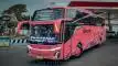 buspariwisata.id - foto bus pariwisata hermanto a