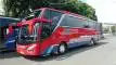 buspriwisata.id - foto bus pariwisata adibuzz d