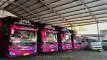 buspriwisata.id - foto bus pariwisata wardah trans f